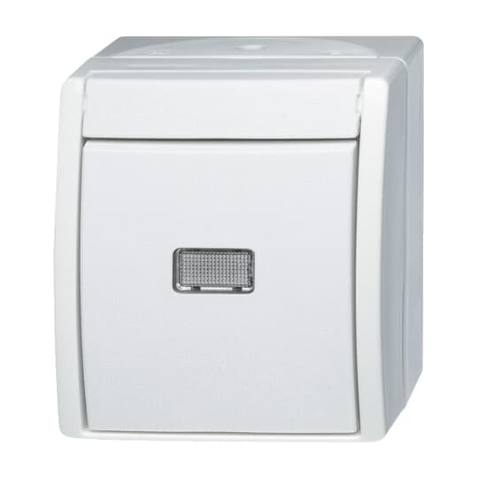 Busch-Jaeger 2601/6 WGL-54 Wechselschalter