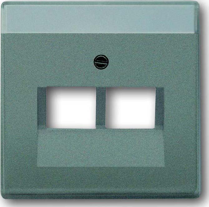 Busch-Jaeger 1803-02-803 Zentralscheibe meteor/gr f.UAE-Anschlussdo.2f