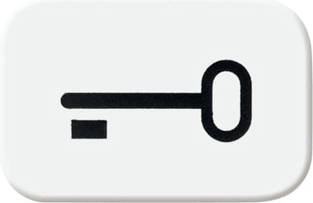 Busch-Jaeger 2525 TR-214 Tastersymbol aws Schlüssel