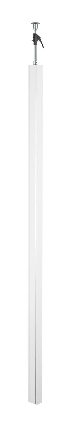 OBO Bettermann Vertr ISS70110RW Installationssäule 70x110x3000mm