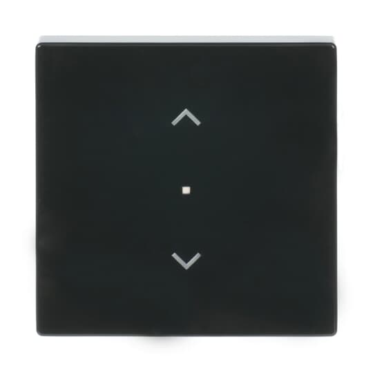 Busch-Jaeger 6232-10-81 Wippe 1-f Symbol Jalousie anthrazit