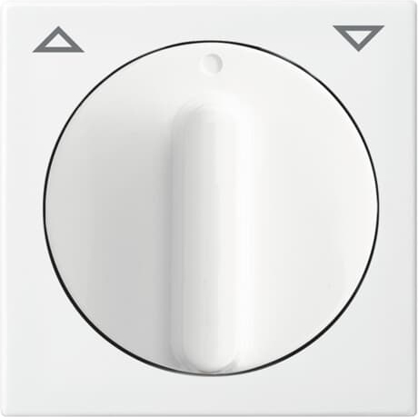 Busch-Jaeger 2542 DR-914 Zentralscheibe alpinws Jalousie/Zeitschalt