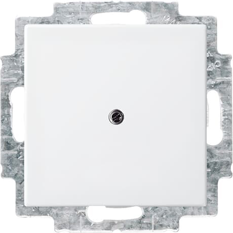 Busch-Jaeger 2538-914 Blindzentralscheibe alpinweiß