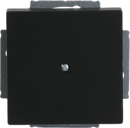 Busch-Jaeger 1742-885 Zentralscheibe sw mt Blindabd,m.Tragring