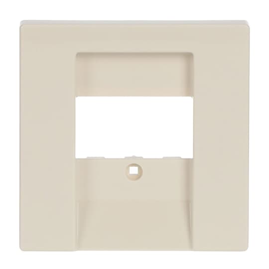 Busch-Jaeger 1766-82 Zentralscheibe sav/ews f.UAE/TAE/LS