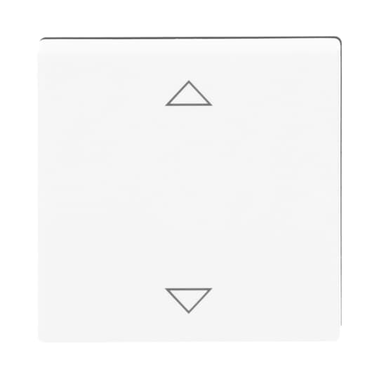 Busch-Jaeger 6430-84-102 Bedienelement dav/sws für Jalousie-Einsatz