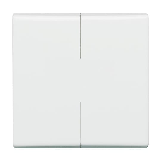 Busch-Jaeger 2105-34 Wippe aws Serien,Wechs./Wechs.