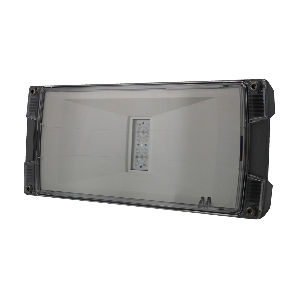Ceag Notlichtsysteme AtlanticLED SCGLine+ LED-Einzelbatterie-Leuchte m.autom. Funkt.test