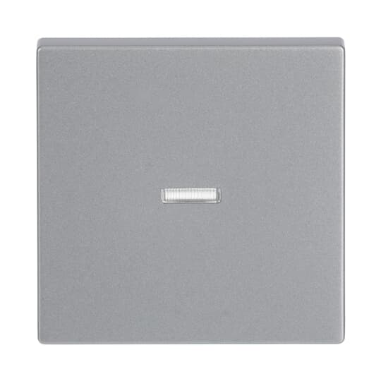 Busch-Jaeger 1789 N-83 Wippe alusilber