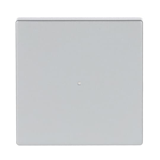 Busch-Jaeger 6230-10-83 Wippe 1-fach alusilber