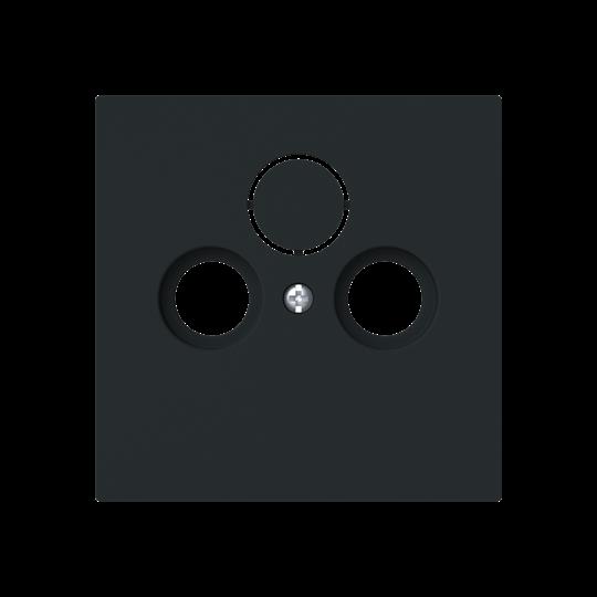 Busch-Jaeger 1743-45M Zentralscheibe Steckdose 2/3-fach