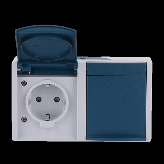 Busch-Jaeger 20/2 EBW-53 Steckdose grau/blaugrün