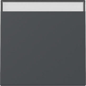 Gira 329928 Wippe Anthrazit