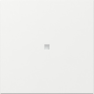 Gira 349003 Wippe gerade Kontrollf. Reinweiß