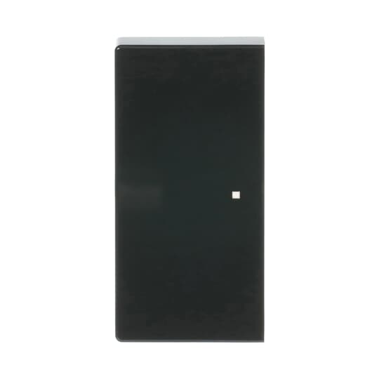 Busch-Jaeger 6230-20-81 Wippe 2-fach anthrazit