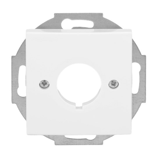Busch-Jaeger 2553-914 XLR-Zentralscheibe aws f.Datenkommunikation
