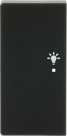 Busch-Jaeger 6231-21-885 Wippe sw mt future linear