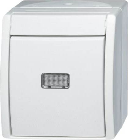 Busch-Jaeger 2601/6 WGL-54 Wechselschalter