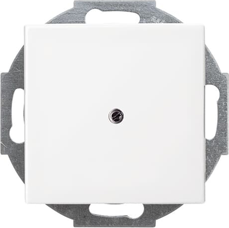 Busch-Jaeger 2527-914 Zentralscheibe alpinws für Leitungsauslass