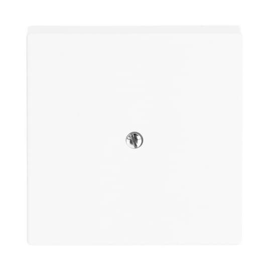 Busch-Jaeger 1745-84 Zentralscheibe dav/sws Telefonverbinderdose