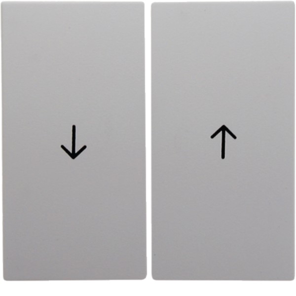 Berker 16251909 Wippe pws Symbol Pfeil