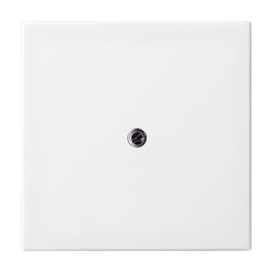 Busch-Jaeger 2536-914 Zentralscheibe alpinws f.Datenkommunikation