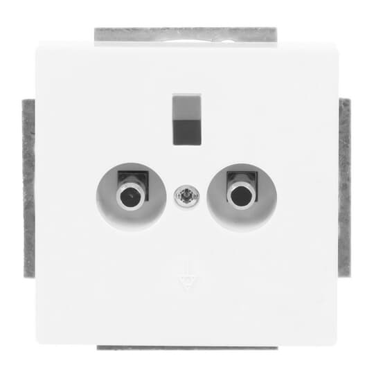 Busch-Jaeger 2095 UC-84 Potentialausgleich dav/sws 2-fach UP