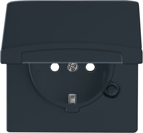 Busch-Jaeger 20 EUGKB-35-101 Schuko-Steckdoseneinsatz IP44 anthrazit