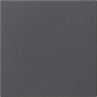 Gira 536028 Bedienaufsatz System anth