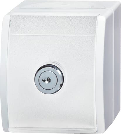 Busch-Jaeger 20 EWSL-54 SCHUKO-Steckdose al/ws mit Schloss