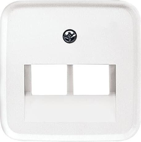 Busch-Jaeger 1803-02-214 Zentralscheibe aws f.UAE-Anschlussdo.2f