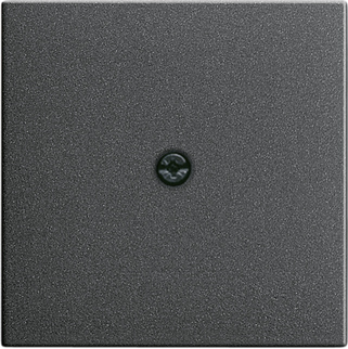 Gira 027428 Zentralpl.Schnurabl. anth System55