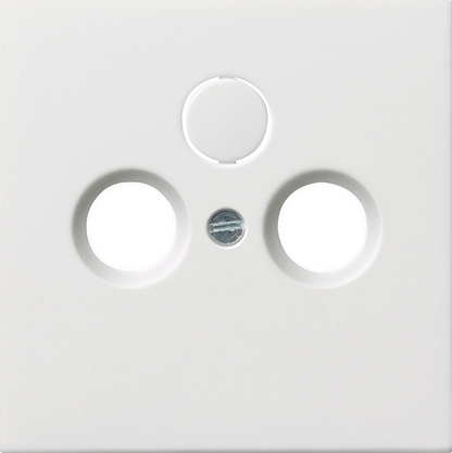 Gira 0869112 Zentralplatte Antenne rws-gl