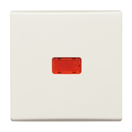 Busch-Jaeger 2107-32 Wippe cws Kontroll-Wechsel