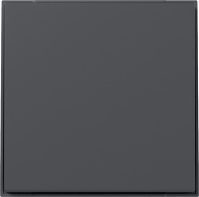 Gira 349667 Wippe gerade Anthrazit