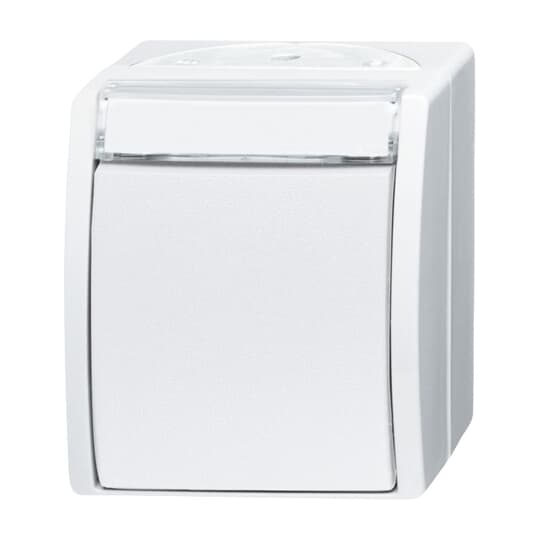 Busch-Jaeger 2601/6 WN-54 Wechselschalter