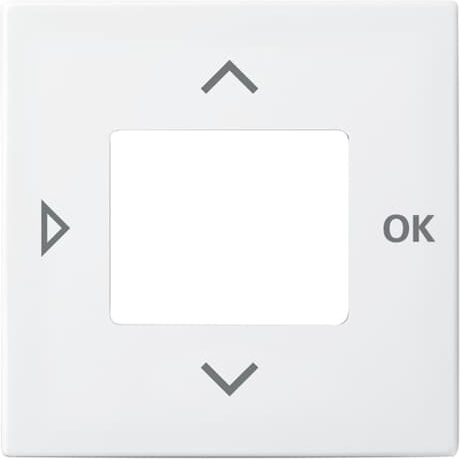 Busch-Jaeger 6435-914 Zentralscheibe alpinws f.Timer