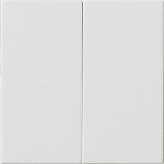 Gira 536203 Bedienaufsatz 2fach rws