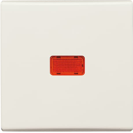 Busch-Jaeger 2107-32 Wippe cws Kontroll-Wechsel