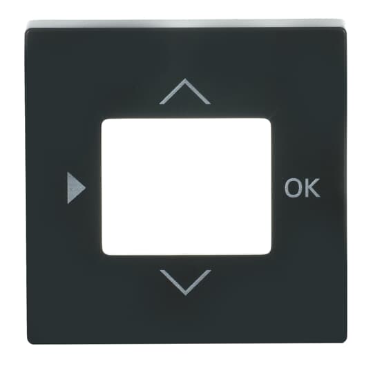 Busch-Jaeger 6435-81 Zentralscheibe anth f.Timer-Bedienelem.