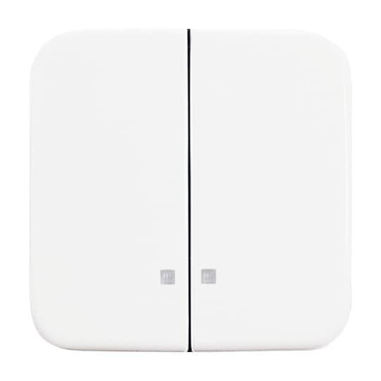 Busch-Jaeger 2505 K-214 Wippe alpinweiß