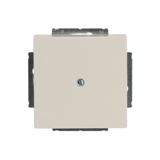 Busch-Jaeger 1742-82 Zentralscheibe sav/ews Blindabd,m.Tragring