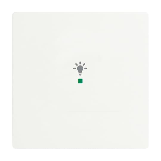 Busch-Jaeger 6231-10-884 Wippe studiows mt future linear