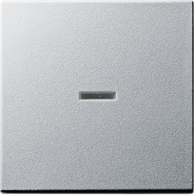 Gira 029026 Wippe alu mit Kontroll-Fenster