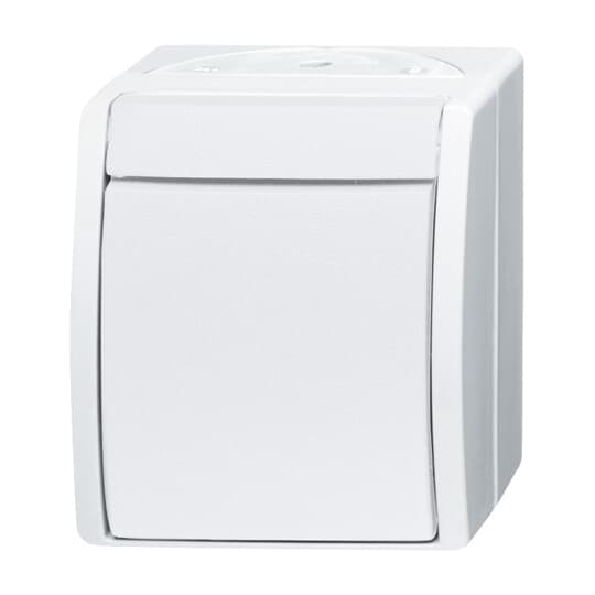 Busch-Jaeger 2601/2 W-54 Ausschalter