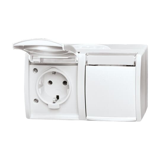 Busch-Jaeger 20/2 EWN-54 Steckdose 2fach waagerecht