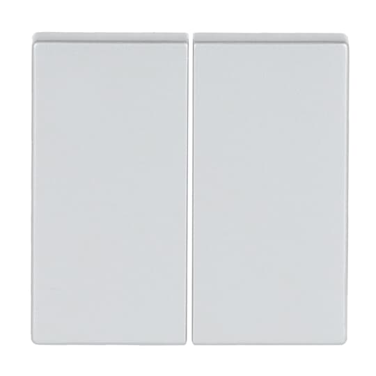 Busch-Jaeger 6736 FoH-83 Wippe alusilber f.Fernsteuerung