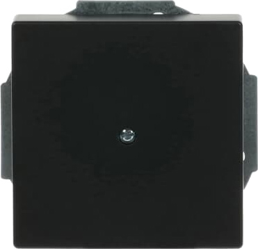 Busch-Jaeger 1749-885 Abdeckung sw mt m.Tragr.f.Ltgsauslaß