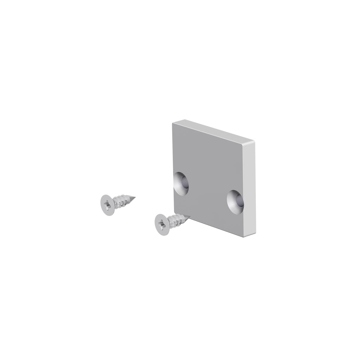 EVN Lichttechnik APF EAP Alu-End-Abschlussplatte flach