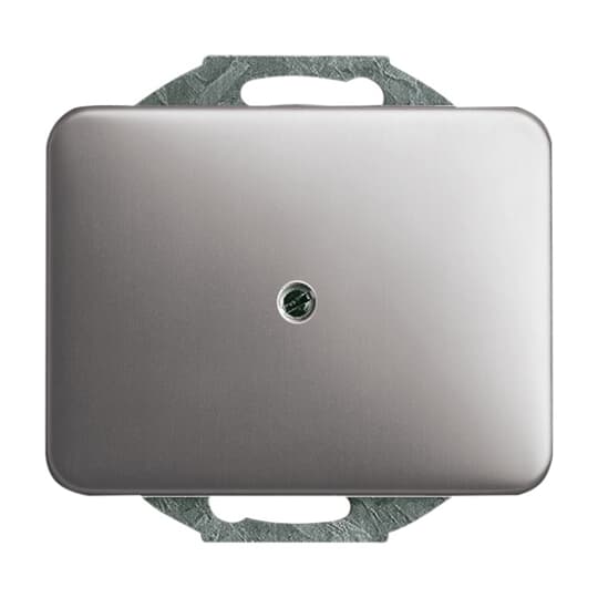 Busch-Jaeger 1742-20 Zentralscheibe pla Blindabdeckung